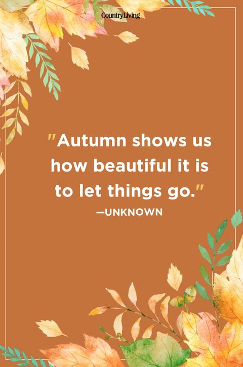 55 Fall Season Quotes - Best Sayings About Autumn