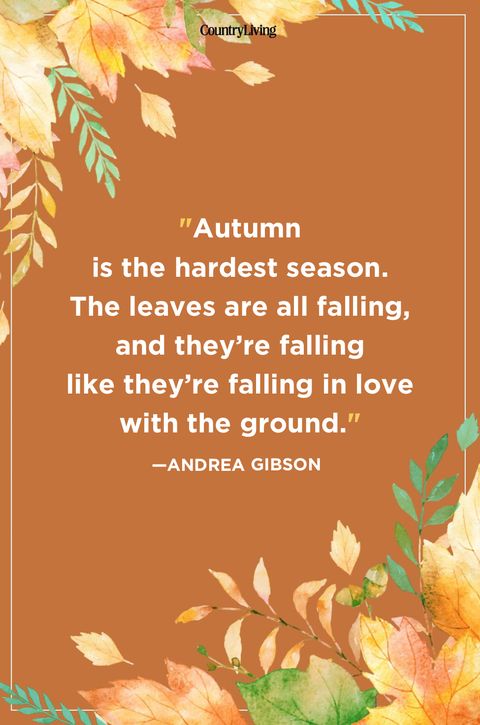55 Fall Season Quotes Best Sayings About Autumn