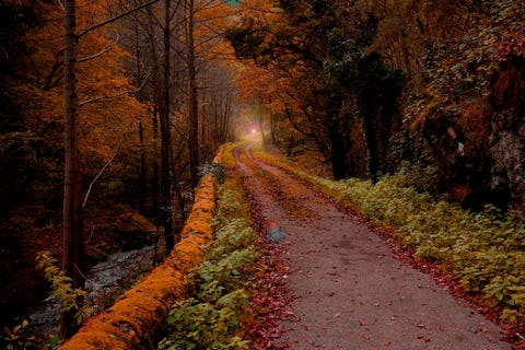 Autumn