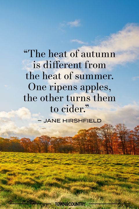 fall quotes short funny