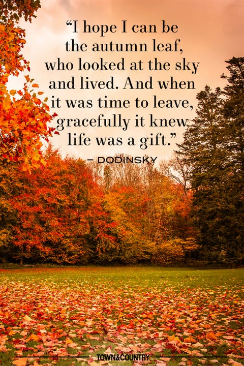 autumn quote