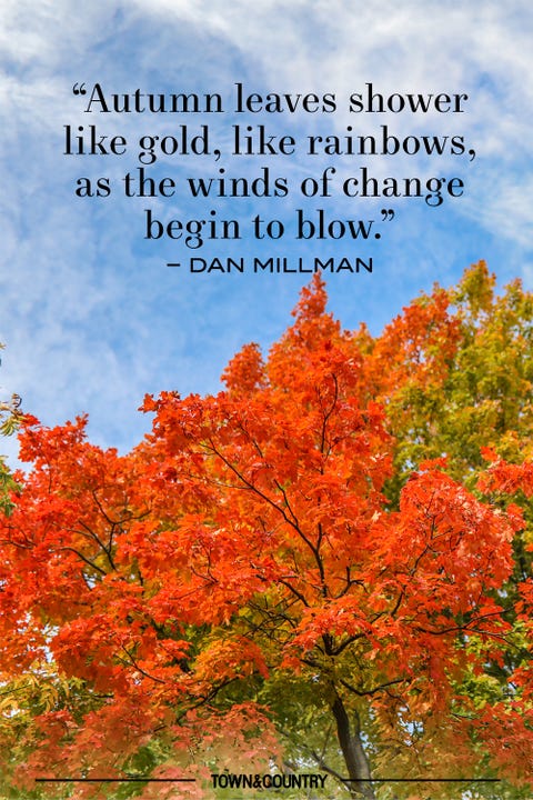 30 Inspiring Fall Quotes Best Quotes And Sayings About Autumn