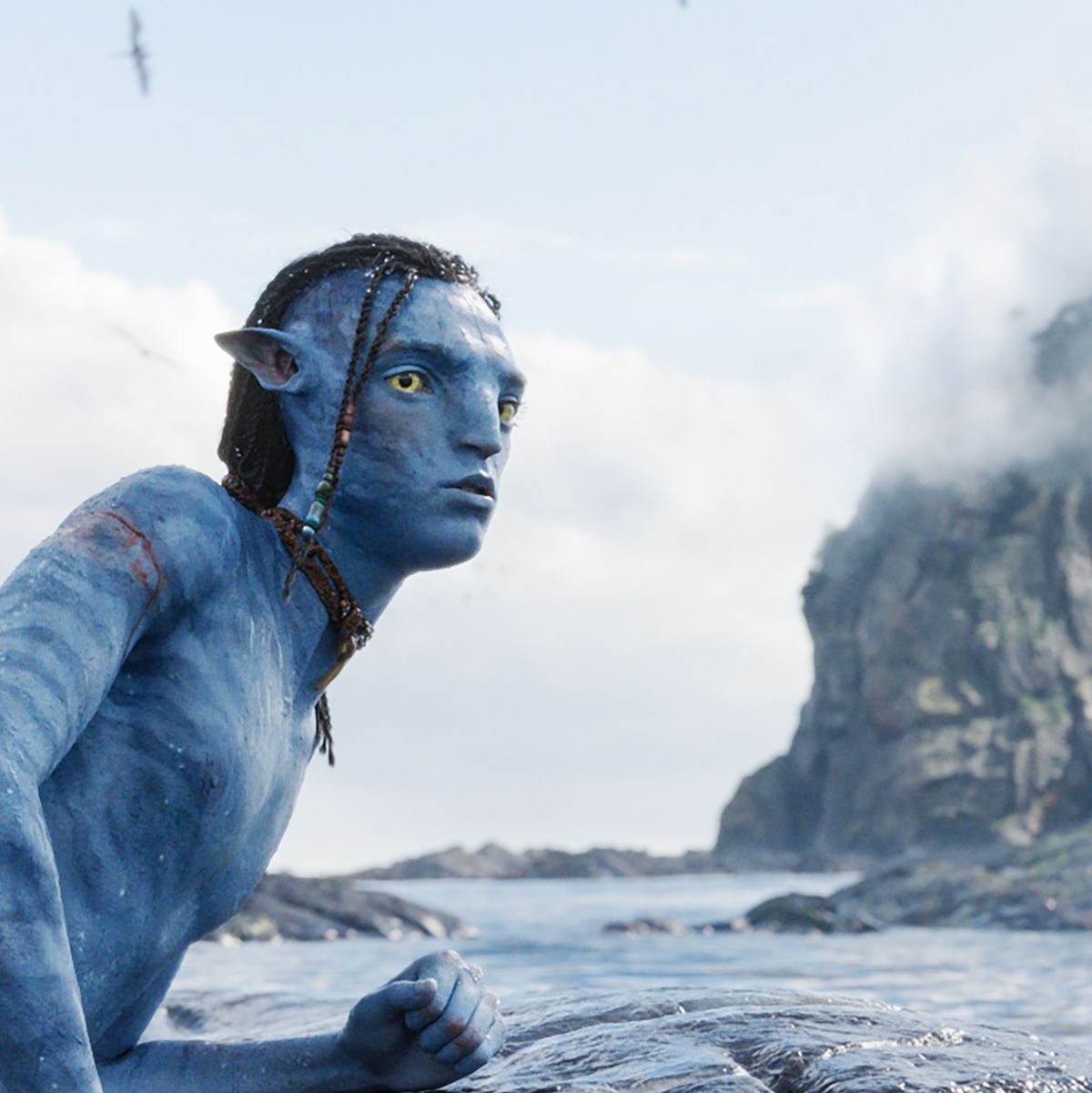 When will Avatar 2 be released on Disney Plus?