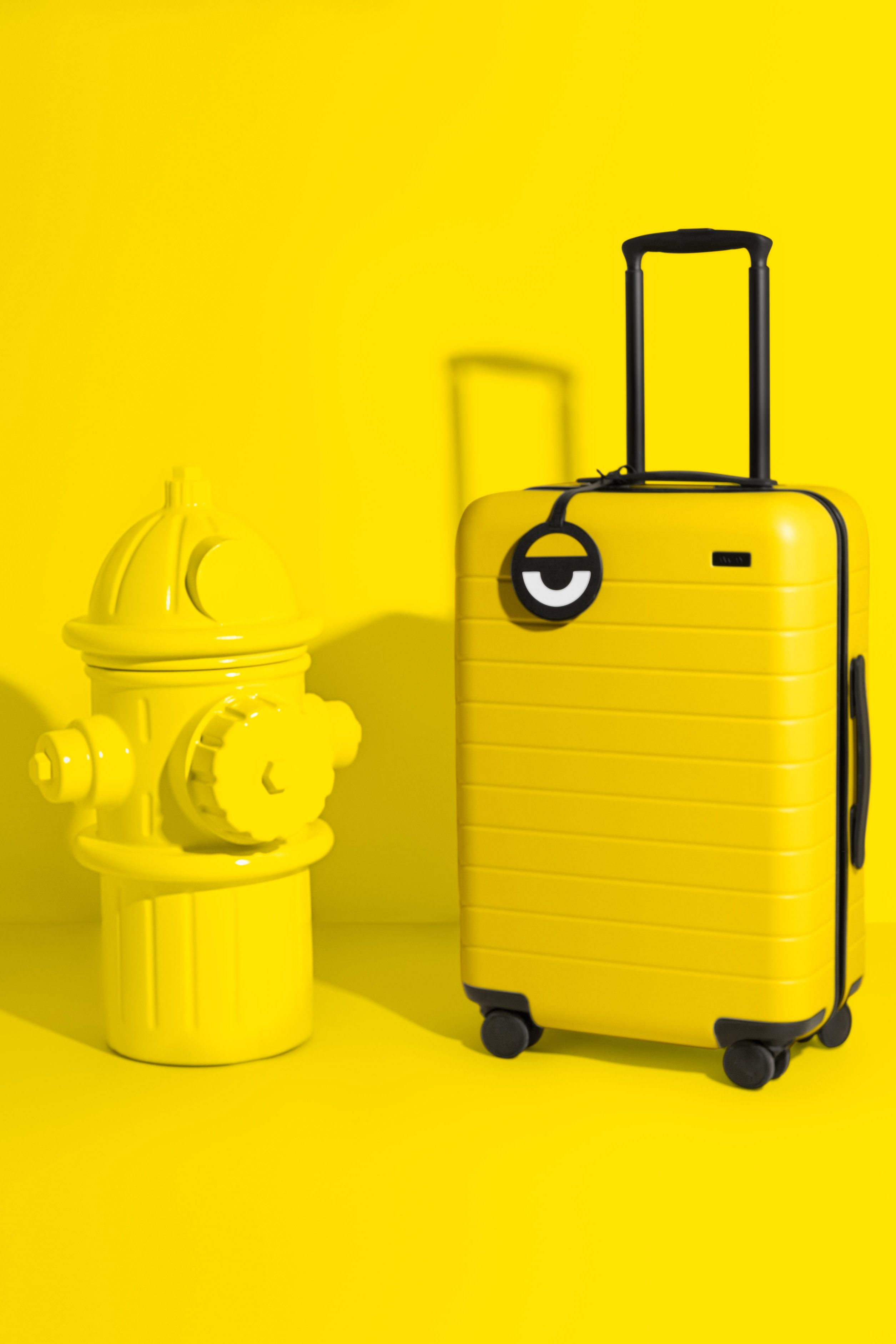 minion away suitcase