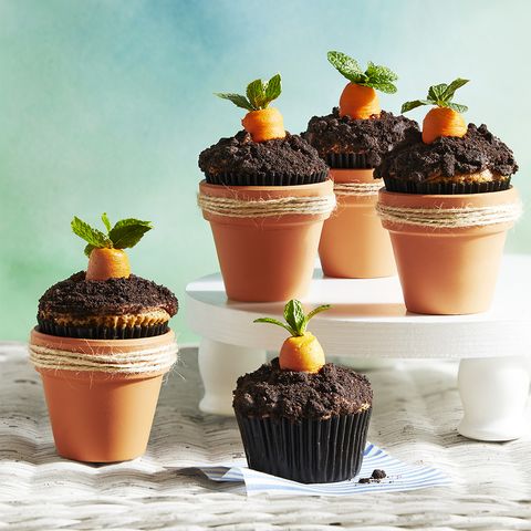Baby boy shower carrot cupcakes
