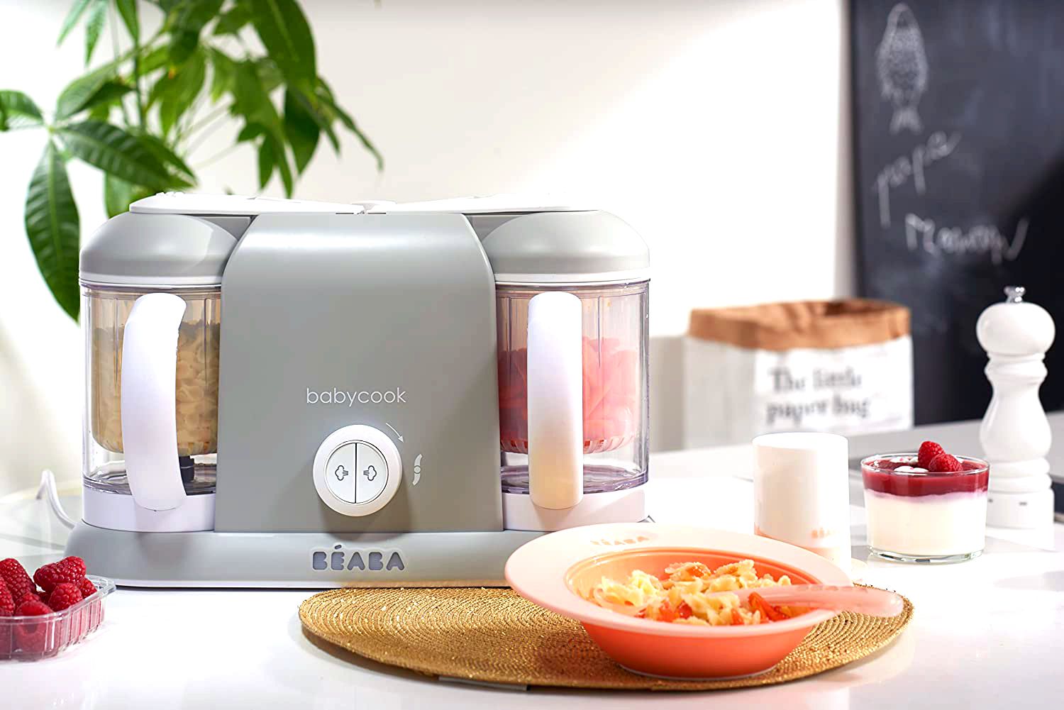 baby food puree maker