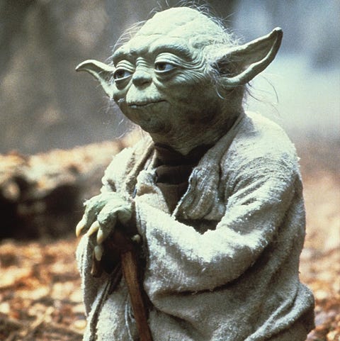 Image result for yoda