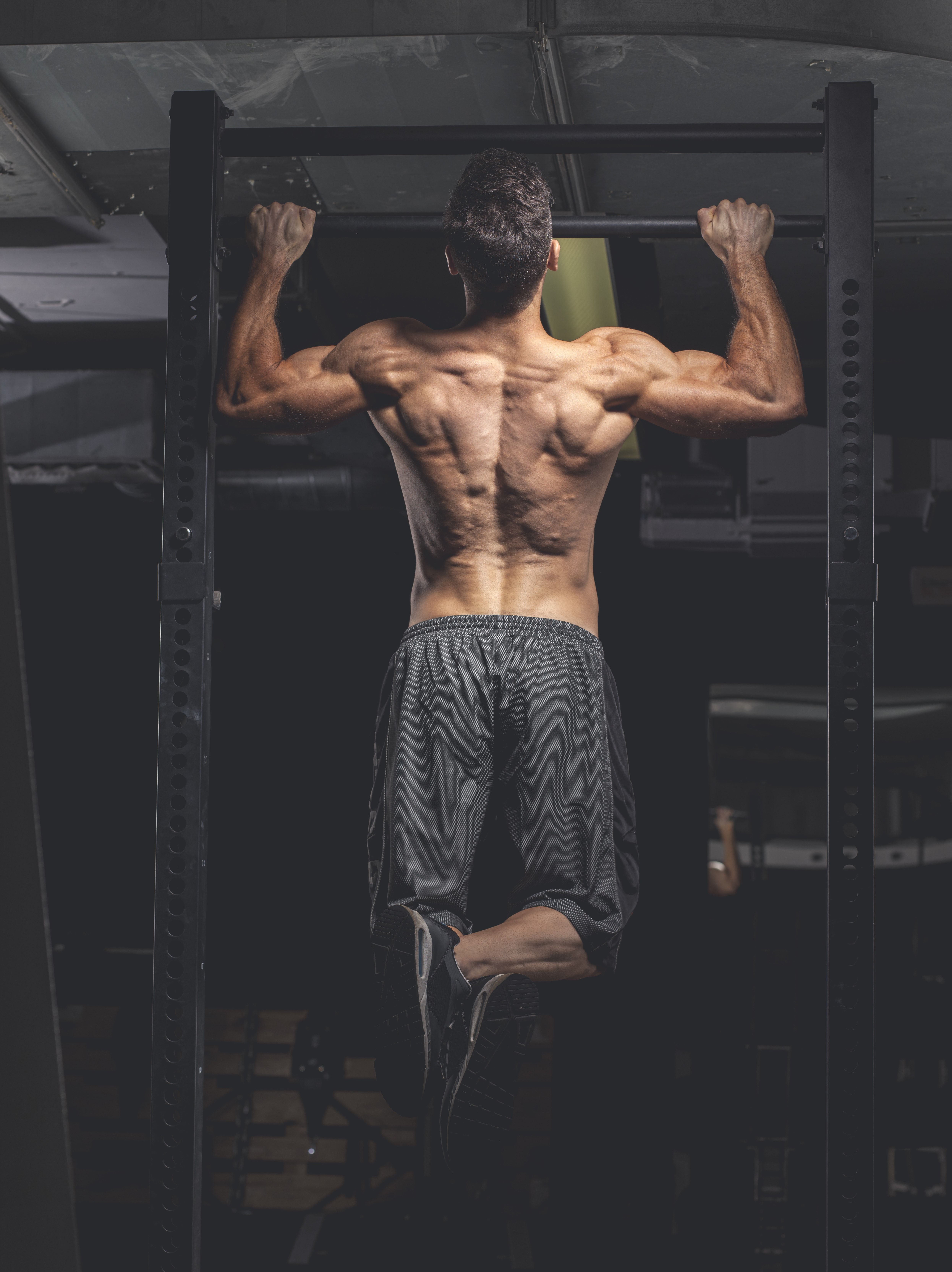 Best Exercises and Back Workouts For Muscle