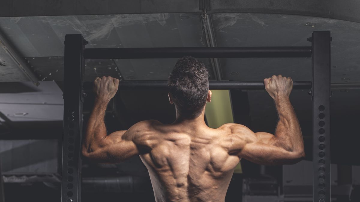 The Best Back Exercises and Back Workouts For Building Muscle