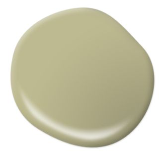 Behr Paint 2020 Color of the Year - Back to Nature S340-4 New Paint