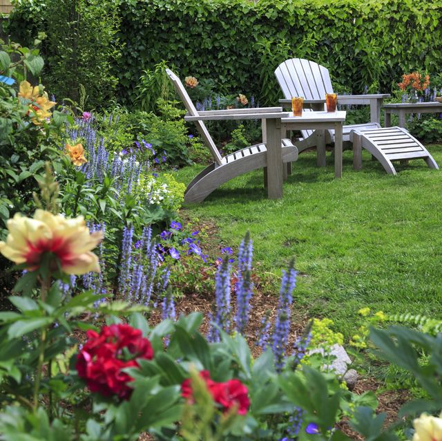 back yard garden with peonies and two chairs