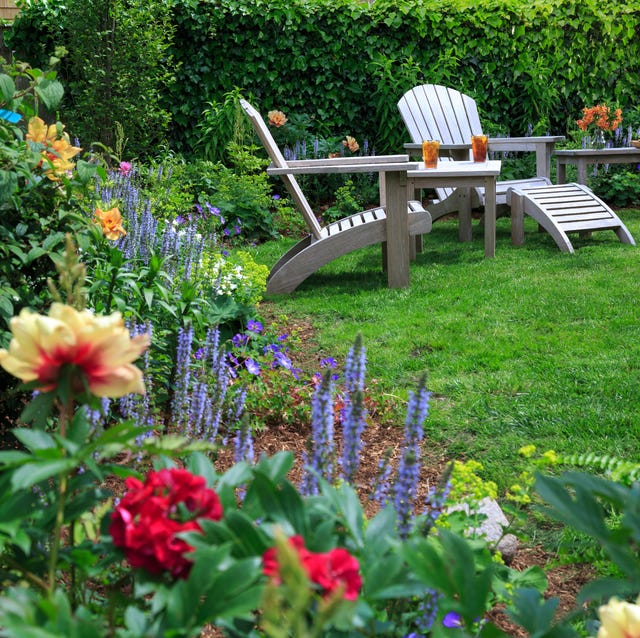 back yard garden with peonies and two chairs