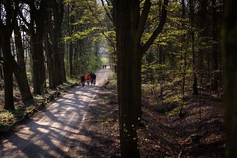 backroads ode voorjaarsklassiekers fietsen wielrennen toertocht gravel