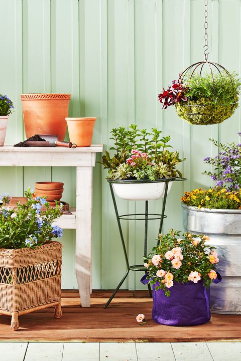 backyard decorating ideas, potted plants