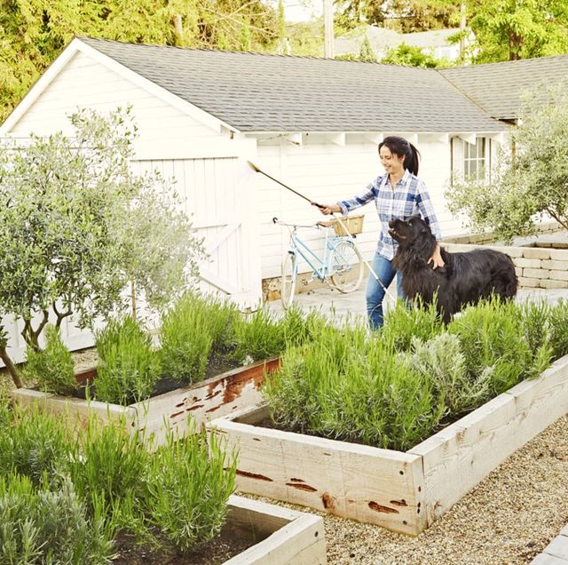 47 Best Diy Garden Crafts Ideas And Designs For 2020