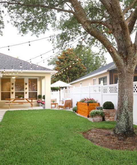 backyard string lights tree base pohon taman rumah