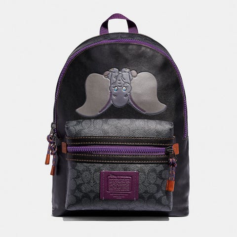 coach tote bag dumbo