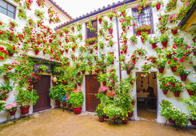 Los patios de flores de Córdoba