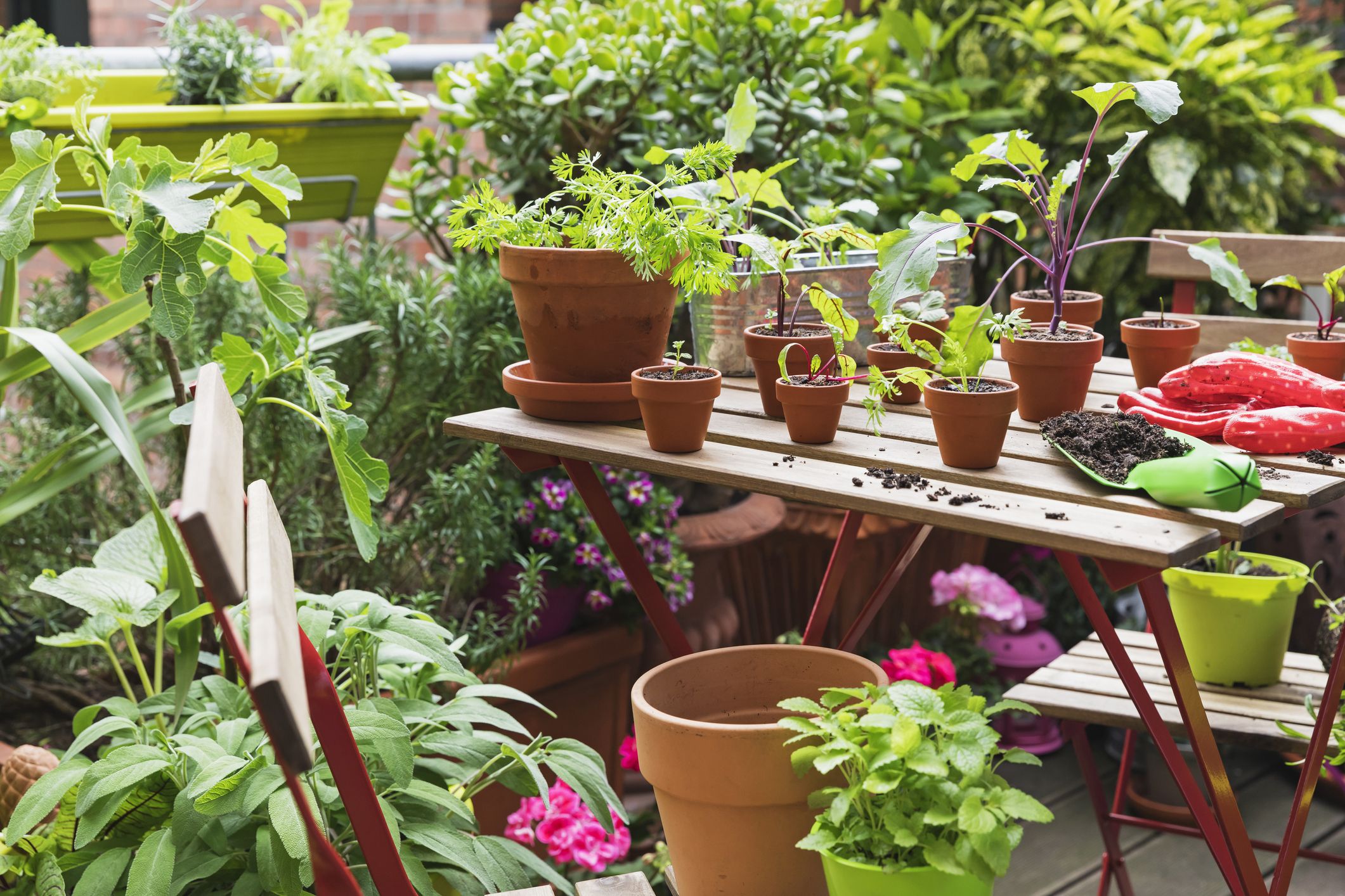 New Poll Unveils 45 Most Satisfying Gardening Tasks