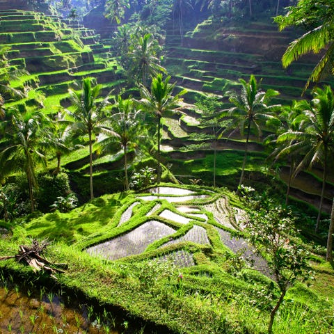 Where to Honeymoon in 2022 - Best Honeymoon Ideas 2022