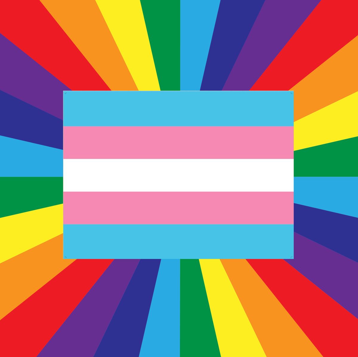 Alarmante Gama de Ocupar Cuáles son las banderas LGBTIQA+ y cuál es su significado