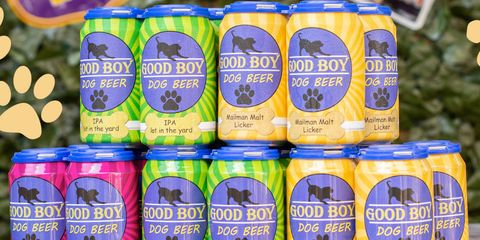 Good Boy Dog Beer Is A Non Alcoholic Beer Your Dog Can Drink