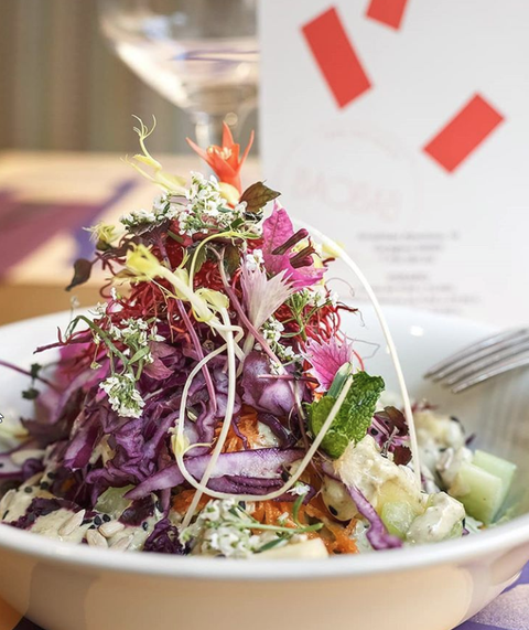 Restaurantes con opciones veganas zaragoza