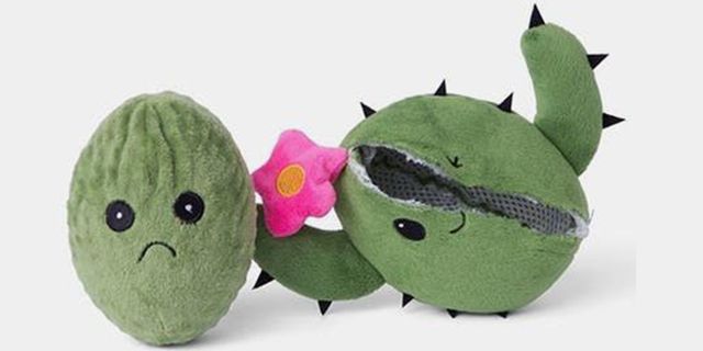 Does Your Dog Destroy Plush Toys? These With an Extra One Inside