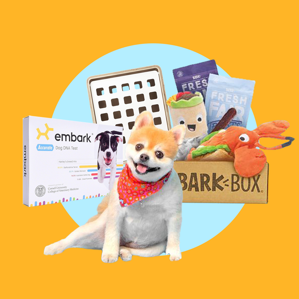 similar to barkbox