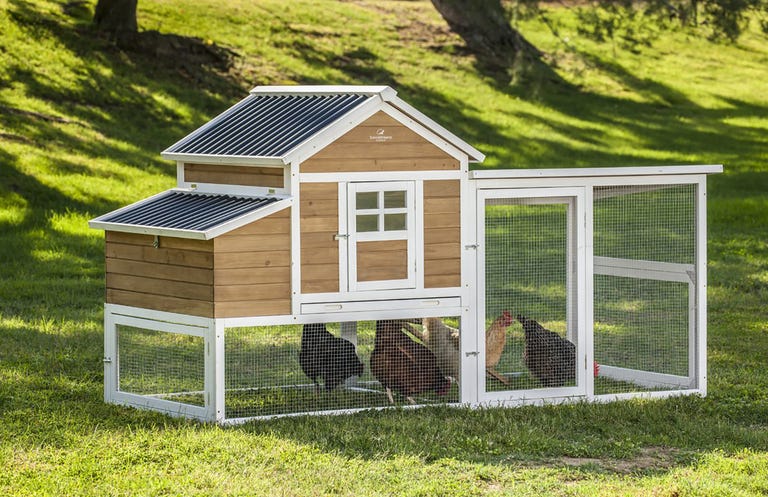 15 Best Chicken Coop Kits for Sale - Cool Backyard Chicken Coops to Buy