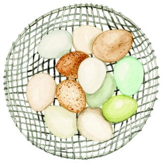 basket of eggs illustration illustration of a wire basket of eggs