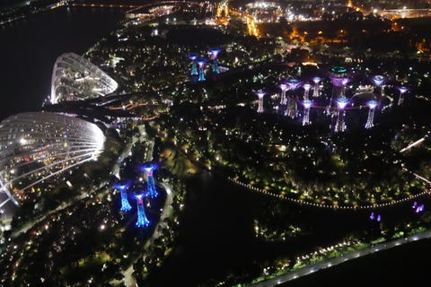 空中花園觀景台 Skypark