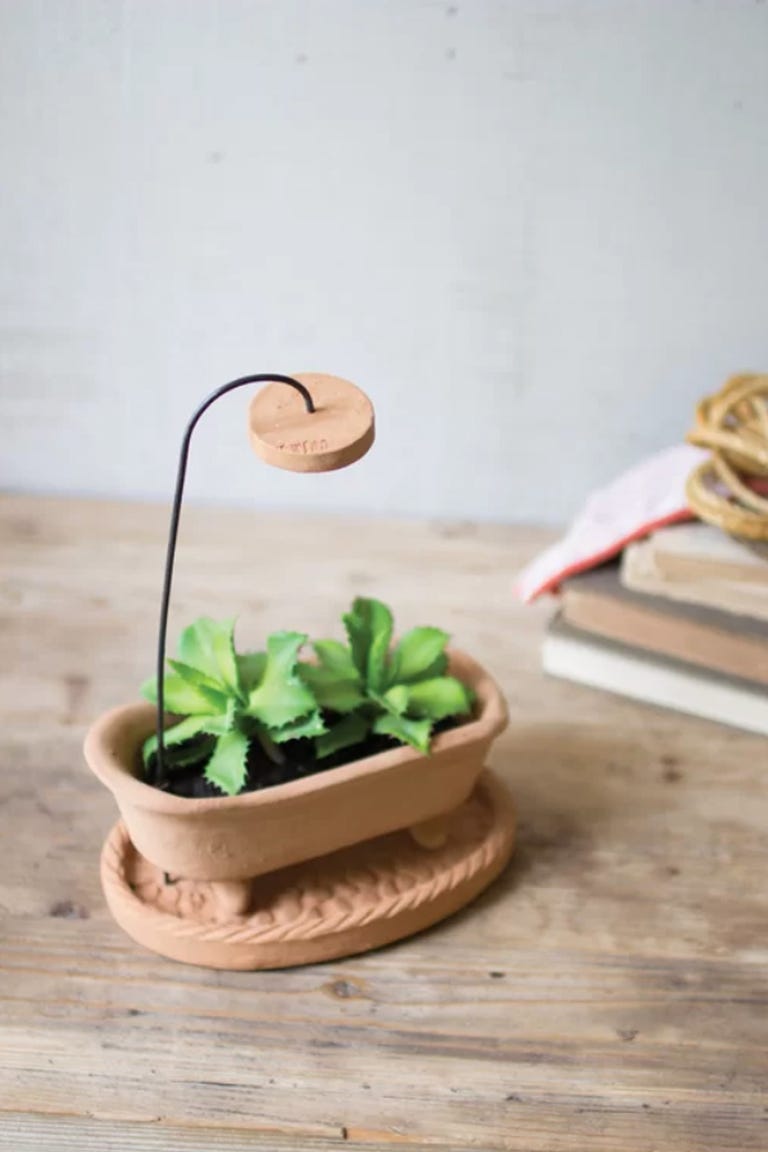 15 Stylish Indoor Flower Pots - Affordable Indoor Pots for Your Plants