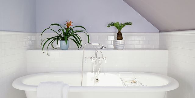 White Vinegar In Your Bathroom, How To Remove Sticky Labels From Bathtub