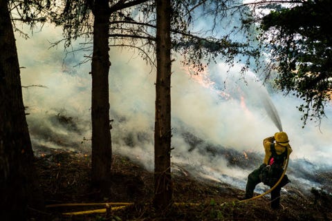 https://hips.hearstapps.com/hmg-prod.s3.amazonaws.com/images/battling-the-dolan-fire-along-the-central-california-coast-news-photo-1598303941.jpg?resize=480:*