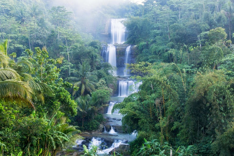 Image result for nangga waterval indonesie - fotoprint op tuinposter 60x40