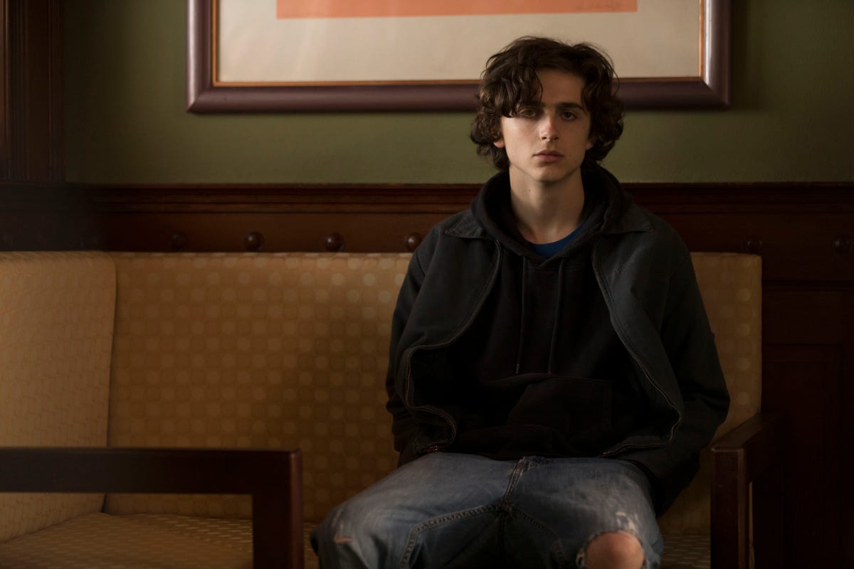 'Beautiful Boy' Shows 2019 Will Be The Year Of Timothée