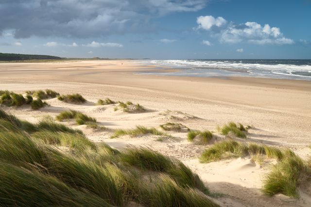 a bright and sunny afternoon amongst the sand dunes at the holkham national nature reserve, voted best beach in the uk