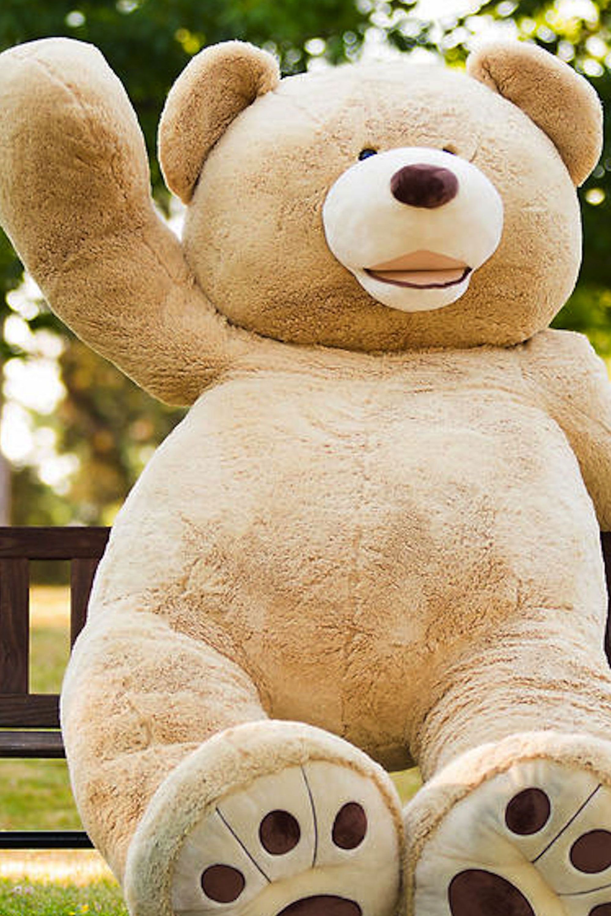 giant teddy bear costco australia
