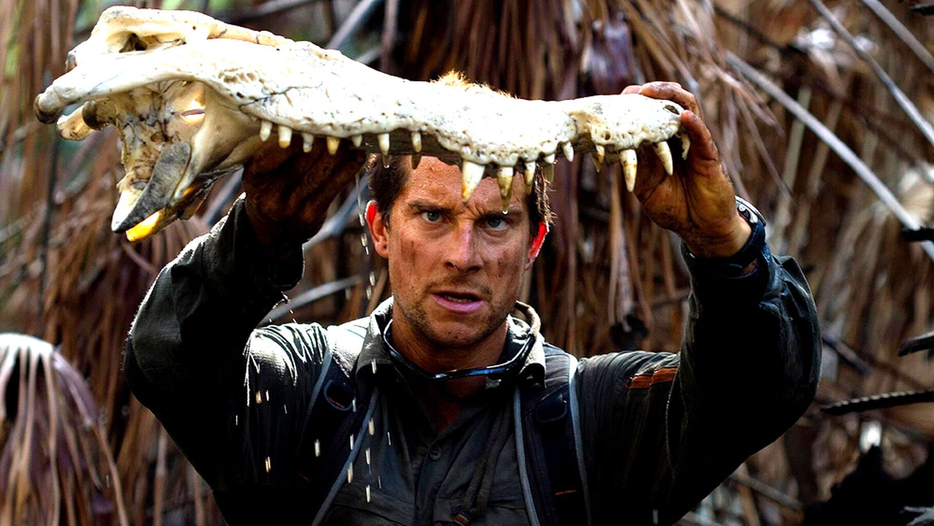 man-vs-wild-on-netflix-hohpapurple