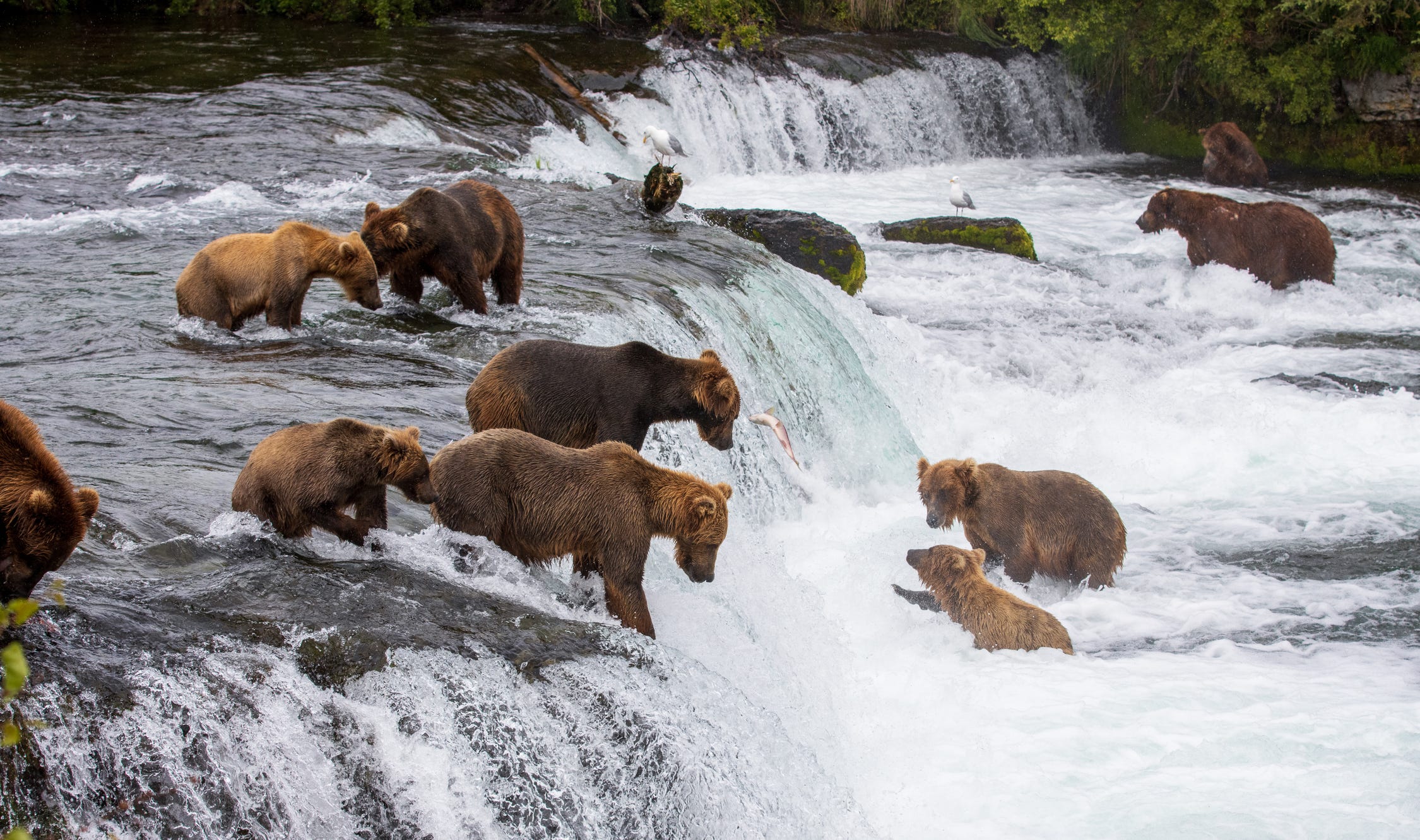 13 Things You Didn't Know About Alaska That Will Surprise You