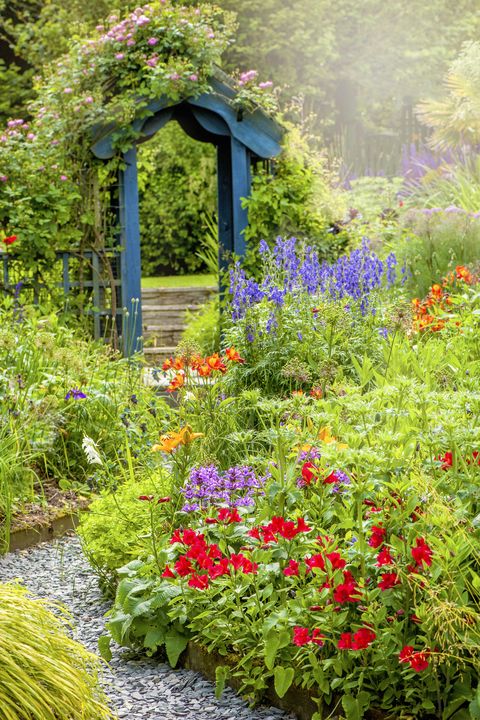 beautiful english cottage, summer garden with blue wooden archway, in soft sunshine