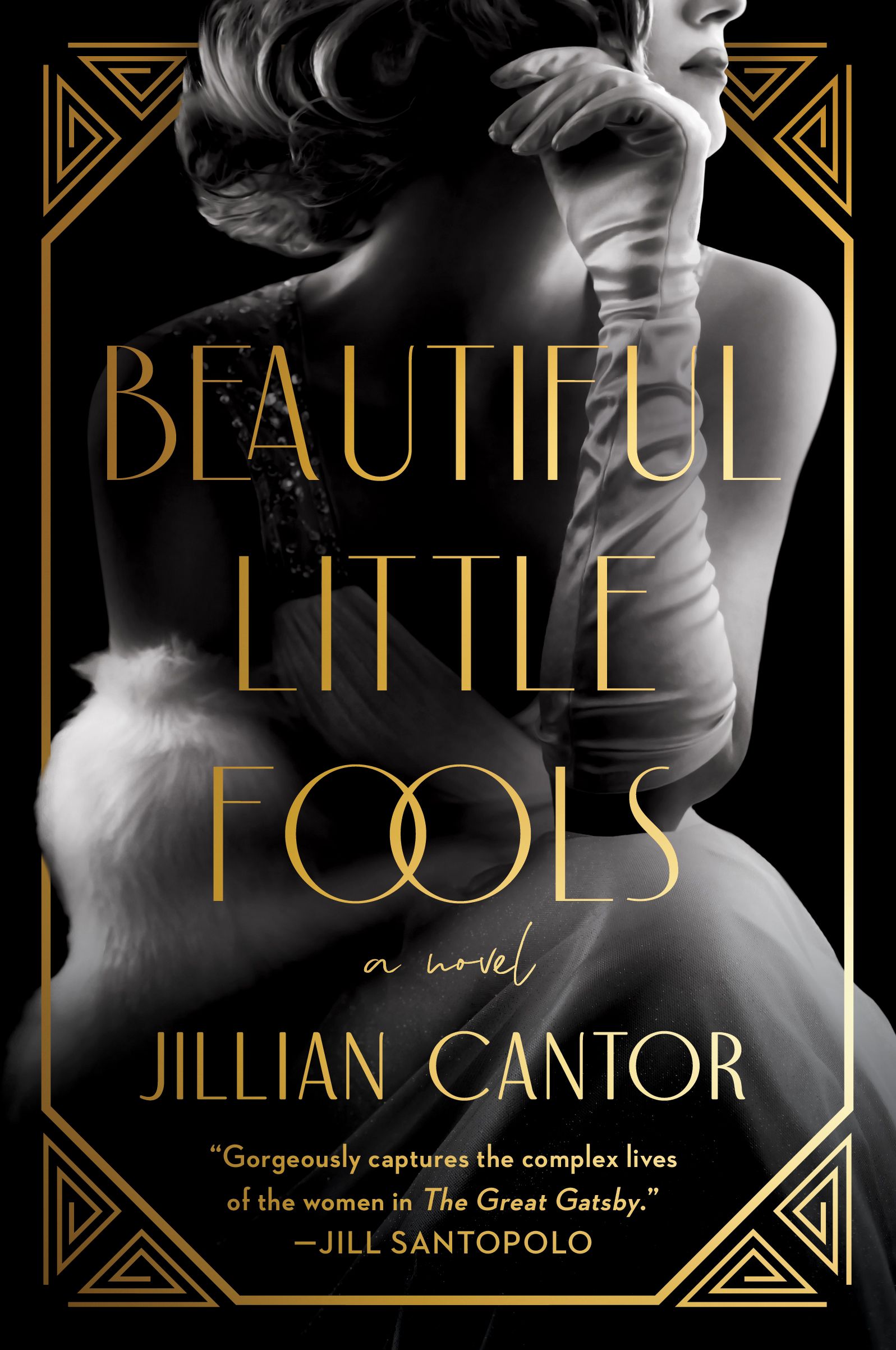 beautiful little fools jillian cantor
