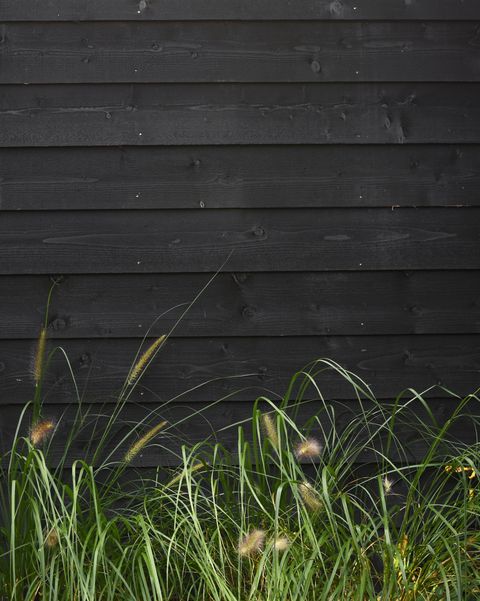 Beautiful nature background green grass against black wooden wall with horizontal planks template
