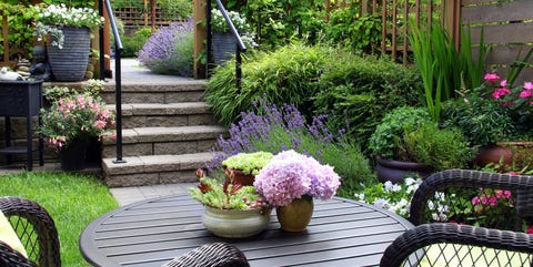 Small Townhouse Perennial Summer Garden