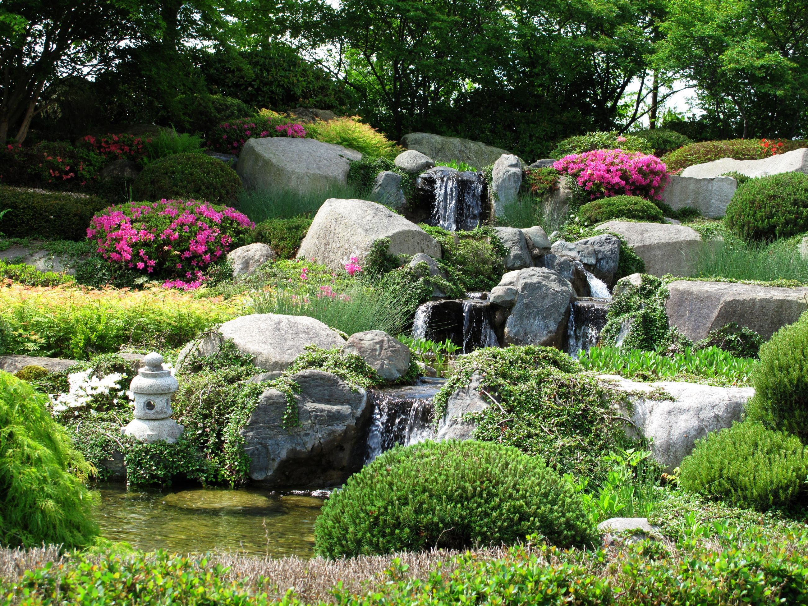 Rock garden with waterfalls