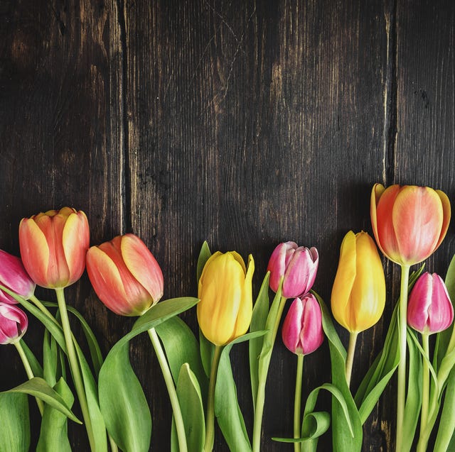 happy spring quotes motivational sayings about spring spring quotes to welcome the season of renewal