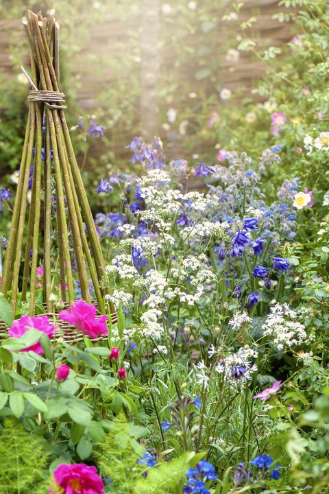14 Garden Design Ideas To Make The Best Of Your Outdoor Space