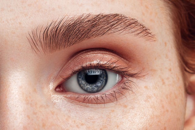 What Is Brow Lamination? - Eyebrow Lamination Cost, Process ...