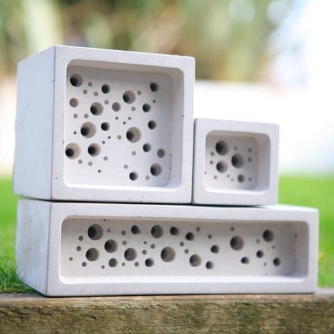 Wildlife officer installs £20 'bee brick' in his home and everyone is envious of the results